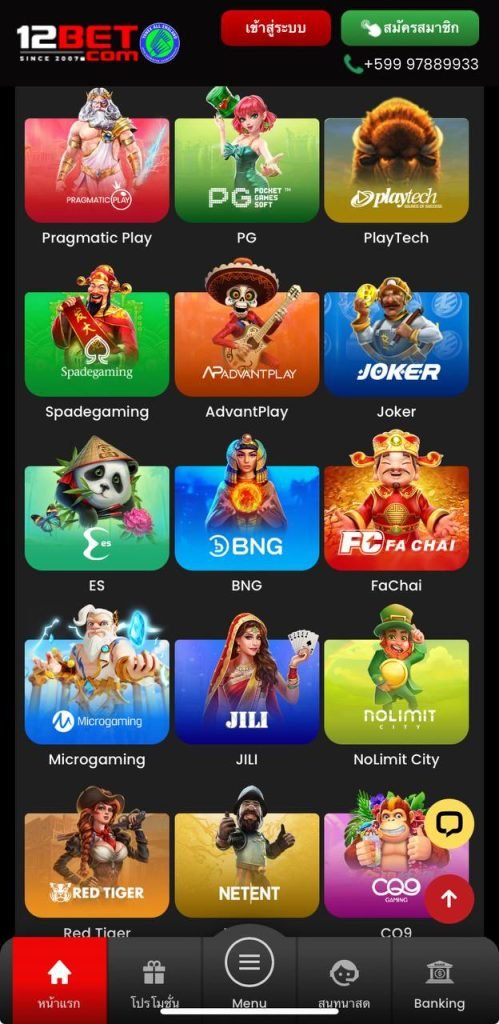 ผู้ให้บริการสล็อตออนไลน์