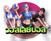 พนันวอลเลย์บอล